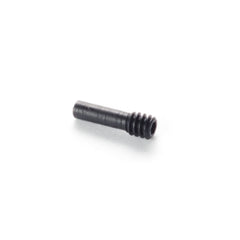 Bolt Catch Screw